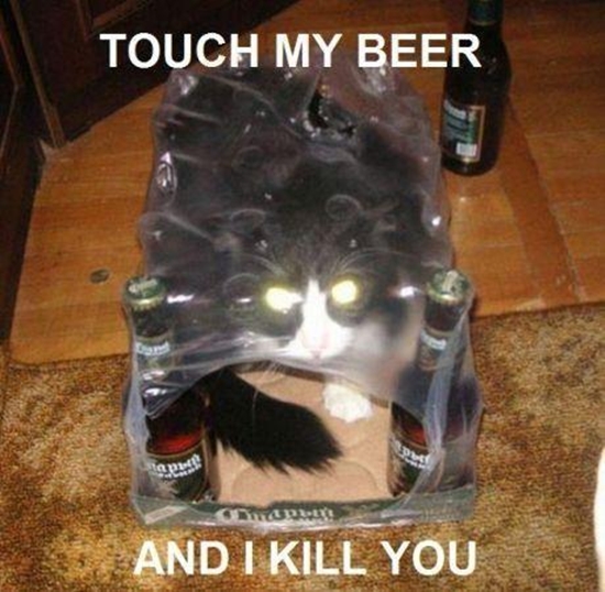 Name:  berg_hre_mein_bier_-_win_bild.jpg
Hits: 554
Gre:  198,2 KB