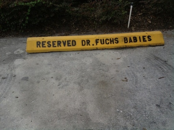 Name:  drfuchs.jpg
Hits: 76
Gre:  77,3 KB