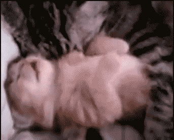 Name:  1371161507216.gif
Hits: 66
Gre:  1,87 MB