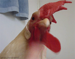 Name:  tumblr-mulkkqb1l41qgcr5yo2-250.gif
Hits: 47
Gre:  583,3 KB