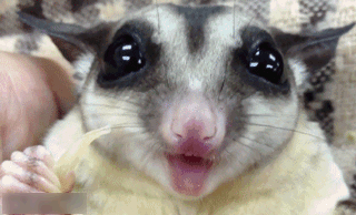 Name:  61b69811gw1dwu56vcy6sg.gif
Hits: 57
Gre:  274,9 KB