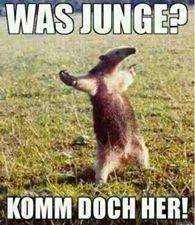 Name:  5jwnt.jpg
Hits: 60
Gre:  14,2 KB