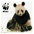 Name:  Auswahl_004.png
Hits: 2989
Gre:  8,3 KB