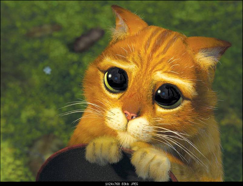 Klicke auf die Grafik fr eine grere Ansicht 

Name:	Gestiefelter_Kater1.jpg 
Hits:	59 
Gre:	83,5 KB 
ID:	6318
