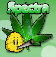 Name:  HanfSpectra.png
Hits: 697
Gre:  53,3 KB