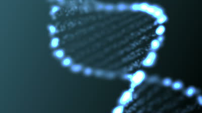 Name:  stock-footage-animated-abstract-dna-hd-p-loop.jpg
Hits: 305
Gre:  8,4 KB