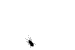 Avatar von fkeeper