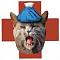 Avatar von Paincry