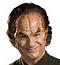 Avatar von Phlox