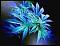 Avatar von greenlady