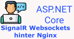 ASP.NET Core SignalR hinter Nginx: Fix für „Requests with Connection: Upgrade cannot have content in the request body“